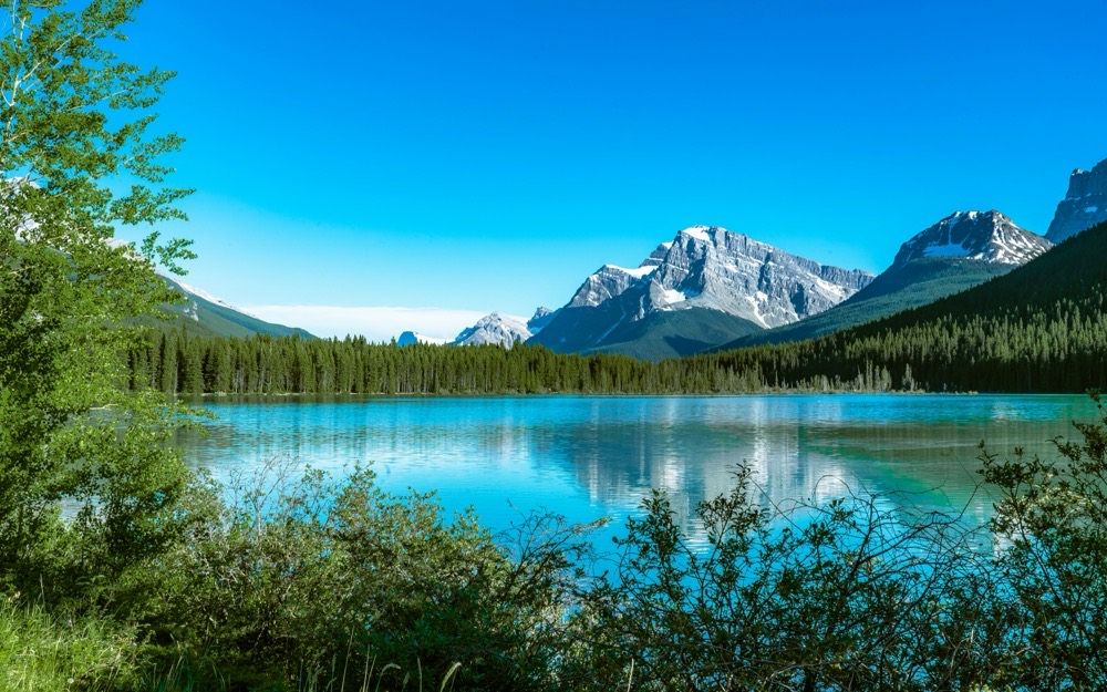Wolf-head-shaped Peyto Lake from Bow Summit — Banff Journey Icefields Parkway tour